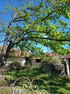 El Campito - 9