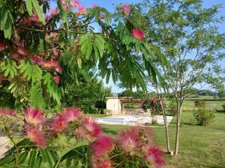 Domaine Le Mas de Flore - Gite Le Quercy - 3