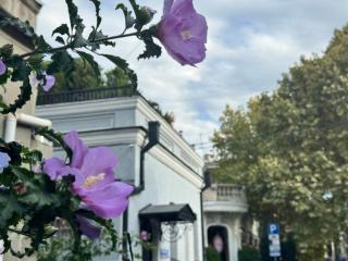 Luxury Home in Old Tbilisi with Terrace - Tbilisi - 4