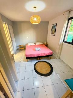 Ti Kaz Houelmont, Vue jardin tropical, proche plage de Rivière-Sens - 4