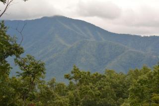 Mountain Escape Chalet - 0