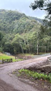 Morangos Vale Florido Casa Verde - 7