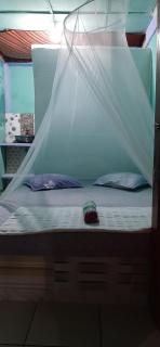 Dendi guest house & orang utan explore - 8