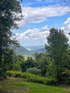 Wildwood Wander - 6