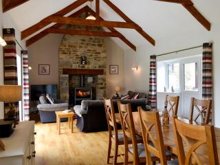 Old Mill- 23398 - 2
