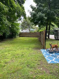 Cozy Place with Outdoor Space for Pets - 9