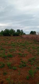 DOP Camp Site Resort - 7