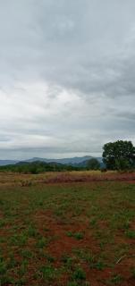 DOP Camp Site Resort - 4