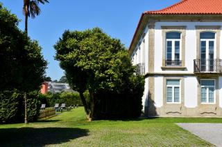 Solar Egas Moniz-Charming House & Local Experiences - Paço de Sousa - 6
