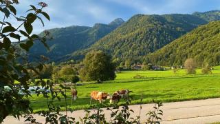 Apartment Bergnest - 4