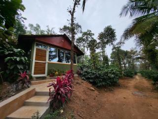CoffeeINN Homestay - Private Cottage, Water Activities and Home Food - 7