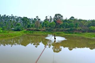 CoffeeINN Homestay - Private Cottage, Water Activities and Home Food - 1