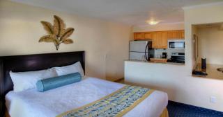 Sailport Waterfront Suites - Tampa - 4