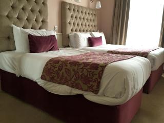 Maples House Hotel - Dublin - 8