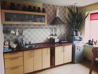 Green Hall apartment - Ignalina - 0