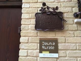 Guest House Dimora Fiorita - 4