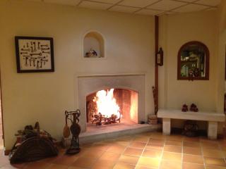 Mas de Vence - Hotel-Restaurant - Vence - 3