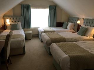 Maples House Hotel - Dublin - 3