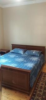 Gabala,yard, house - 5