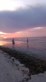 LakeOsborneHouseBedFrm39DollarsDaylymin6PersParty - 8