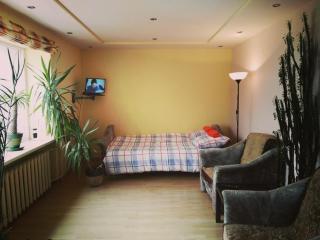 Green Hall apartment - Ignalina - 3