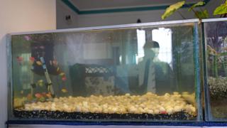 Happy Villa By Eden Luxury Stay - 5