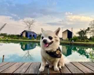 Bergen Resort เบอร์เกน รีสอร์ท - 6