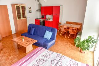 Apartments and Studios Perunika - Moravske-Toplice - 5