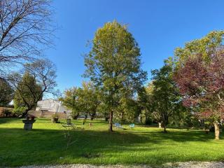 Sylo-V CHAMBRE EDGAR - 0