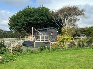 Ty'r Bugail - Shepherds Hut - 0