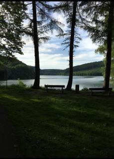 Sauerland Schwalbenhaus in Frenkhausen - 8