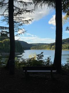 Sauerland Schwalbenhaus in Frenkhausen - 6