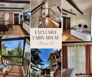 The Wood Cabin Home Tagaytay with Billiards and Minipool 10mins from Skyranch - 8