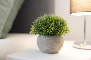 Haus Norwald - tolles Ferienhaus direkt am See für bis zu 4 Personen mit Sauna und Kaminofen - Haustiere herzlich willkommen - 5