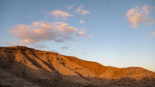 The Tree House Coliving - 0