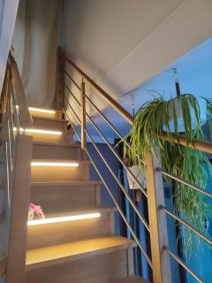 Chaumière dans le parc régional de Brière - 7