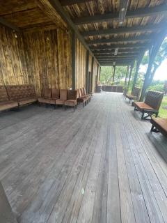 Старий яблуневий сад - 4