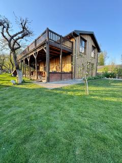 Старий яблуневий сад - 3