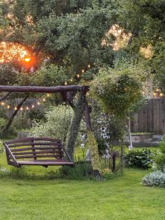 Старий яблуневий сад - 2