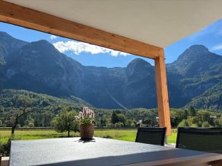 Haischberger Apartments - Obertraun - 0
