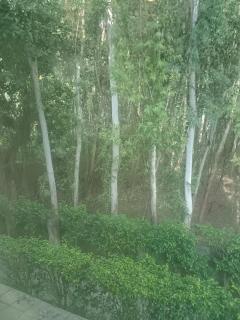 2 Bed Room Flat Near AMB Mall - 2