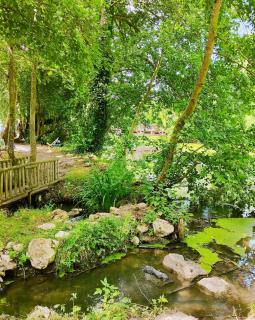 Reflets de Sologne - 5