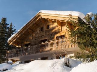 Chalet 4★, 12 pers, 5 chambres, terrasses ensoleillées, navette à proximité - FR-1-304-270 - 6