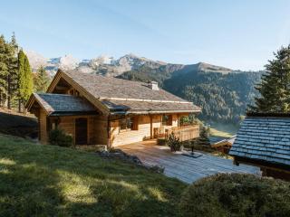 Chalet 4★, 12 pers, 5 chambres, terrasses ensoleillées, navette à proximité - FR-1-304-270 - 4