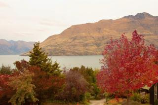 Cozy Nook Queenstown - 9