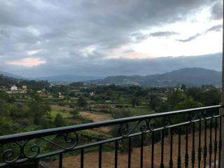 The Assento Elegance and Nature - 5