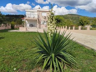 Villa Hirundinidae - 7