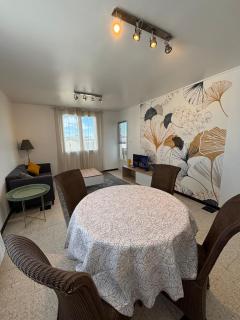 Le Newton Appartement Polygone Wifi - 9