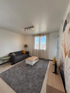 Le Newton Appartement Polygone Wifi - 3