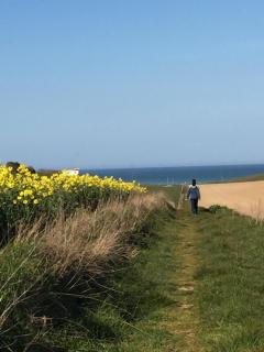Charmante maison au calme proche de la mer - 9